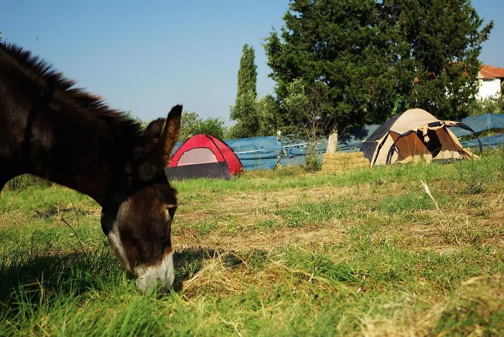 Campsite Teos Sanat Kampi Hotel Sigacik