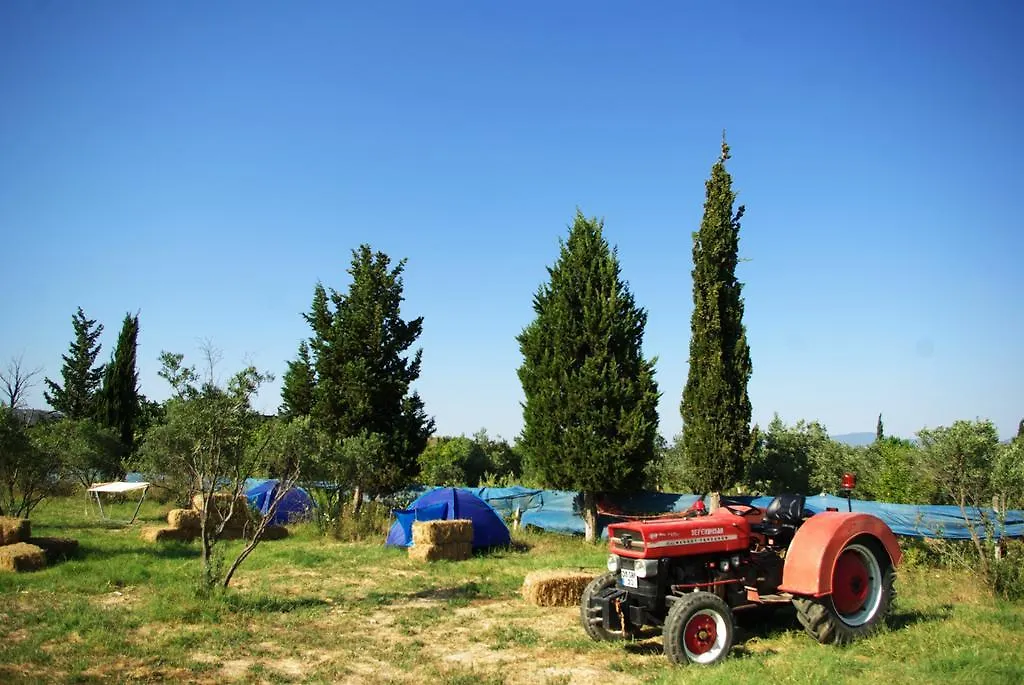 Teos Sanat Kampi Hotel Sigacik Turkey